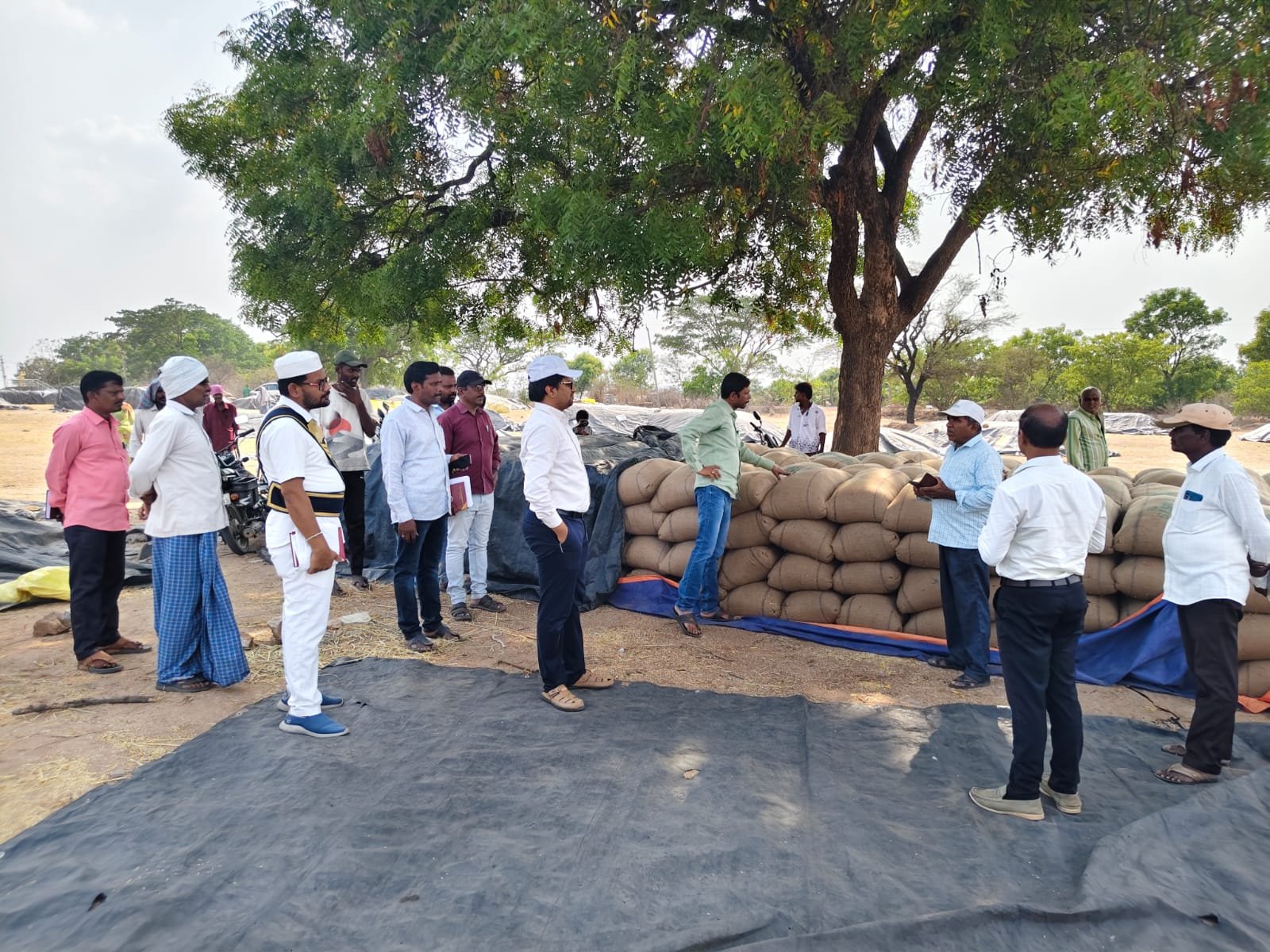 ధాన్యం కొనుగోలు ప్రక్రియ పరిశీలన లో భాగం గా కలెక్టర్ విస్తృత పర్యటన లు